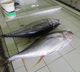 Unterwegs im einheimischen Markt 