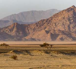 Marsa Alam Ausflüge-Kamelmarkt Al Shalateen
