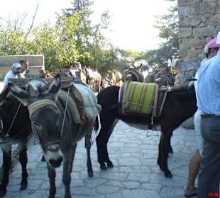 Bevorzugtes Transportmittel