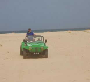Buggy Tour