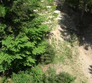 Naturparkzentrum Ruhestein