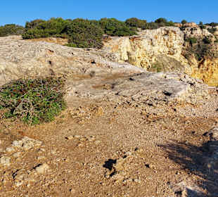 Seven Hanging Valleys Trail 