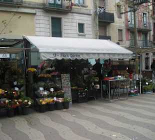 Un chiosco sulla rambla dei fiori