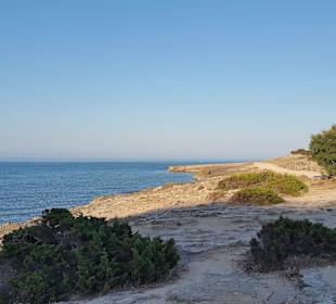 Naturschutzgebiet Punta de n'Amer