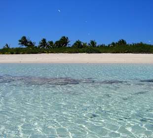 Escursione alle isole