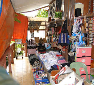 Wildlife Expeditions