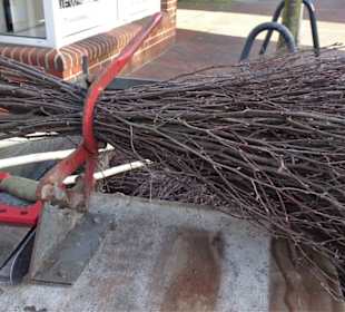 Impressionen vom Gänsemarkt Wildeshausen