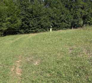 Wacholderheide Sternberg