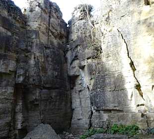 Felsengärten