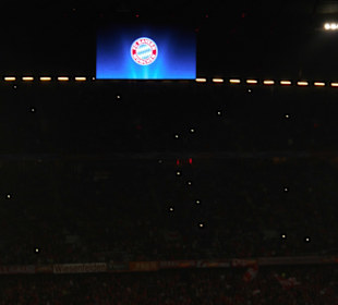 Allinaz Arena München