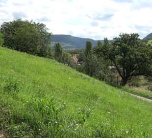 Hochgehnießen - Premiumspazierwanderweg