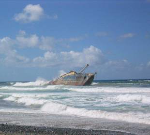 Wrack American Star
