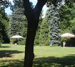 Lazienki Park