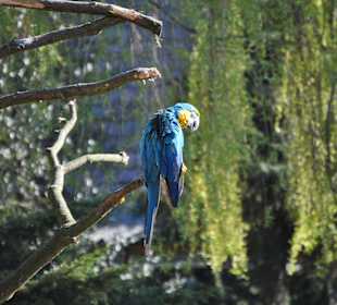 Naturtierpark Ströhen