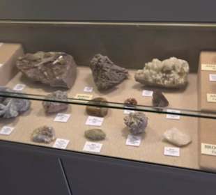 Naturhistorisches Museum