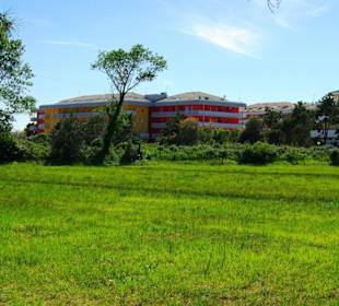 Naturschutzgebiet dei Pini