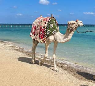 Playa de la Pinta / San Eugenio