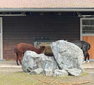 Tiergarten Straubing