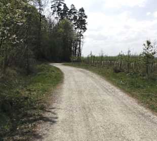 Wanderweg Firstwaldrunde