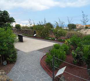 Die Pyramiden von Güimar