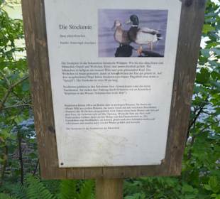 Valepper-Almen-Rundwanderung