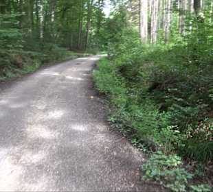 Sonnenaufgangs-Rundwanderung Rübgarten