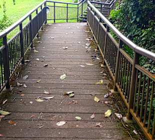 Marang Trail auf den Mount Faber