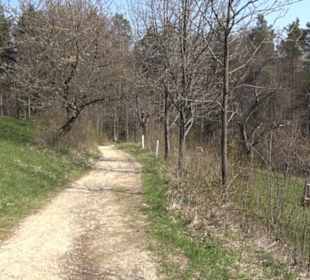 Wanderung Florianrunde