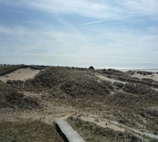 Amrum Dünenlandschaft