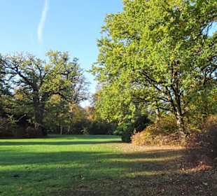 Herbstspaziergang durch den Schlosspark Lütetsburg