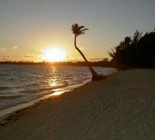 Sonnenaufgang am Beach vom Bavaro Golf