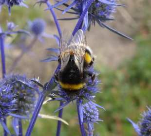 Eindrücke vom Rundgang durch den Park der Gärten