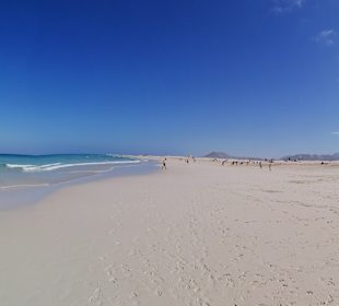 Strände Corralejo