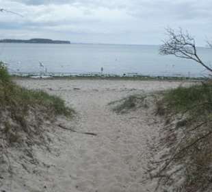 Am Naturstrand von Rosenhagen