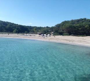 Strand Playa S'Amarador