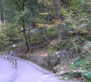 Triberger Wasserfälle