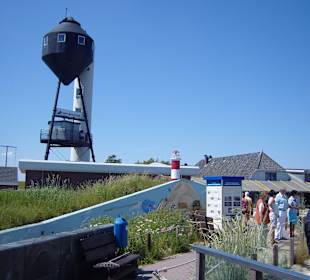 In der Seehundaufzuchtsstation!