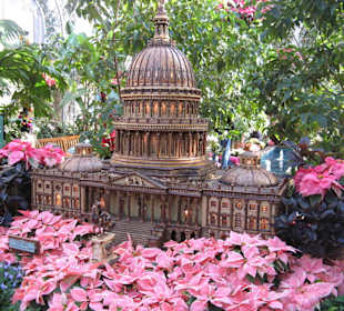 United States Botanic Garden in Washington D.C.