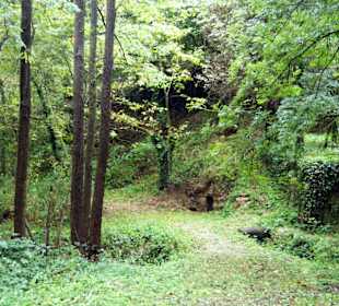 Parque Natural El Montseny