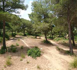 Wandern Cala Mesquida