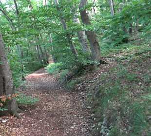 Tour entlang der Traifelbergfelsen
