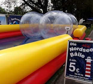 Wasserbälle für die Kids