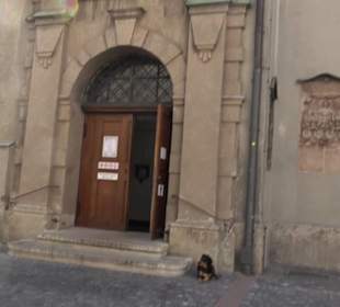 Pfarrkirche St. Peter