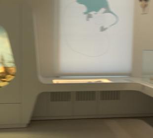 Staatliches Naturkunde Museum