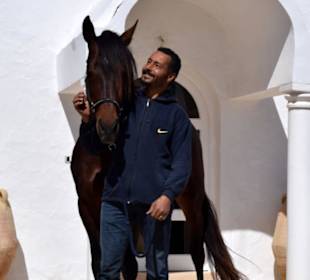 Lassad Ben Yagoub Reitstallbesitzer
