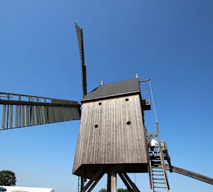 Die Flügel im Wind