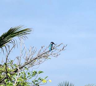 Bootsausflug auf dem "Zimtkanal"