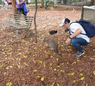 Feather Dale Wildlife Park