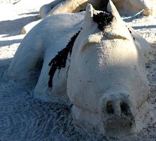 Pferd im Sand