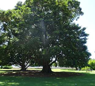 Stadtrundgang Sydney
